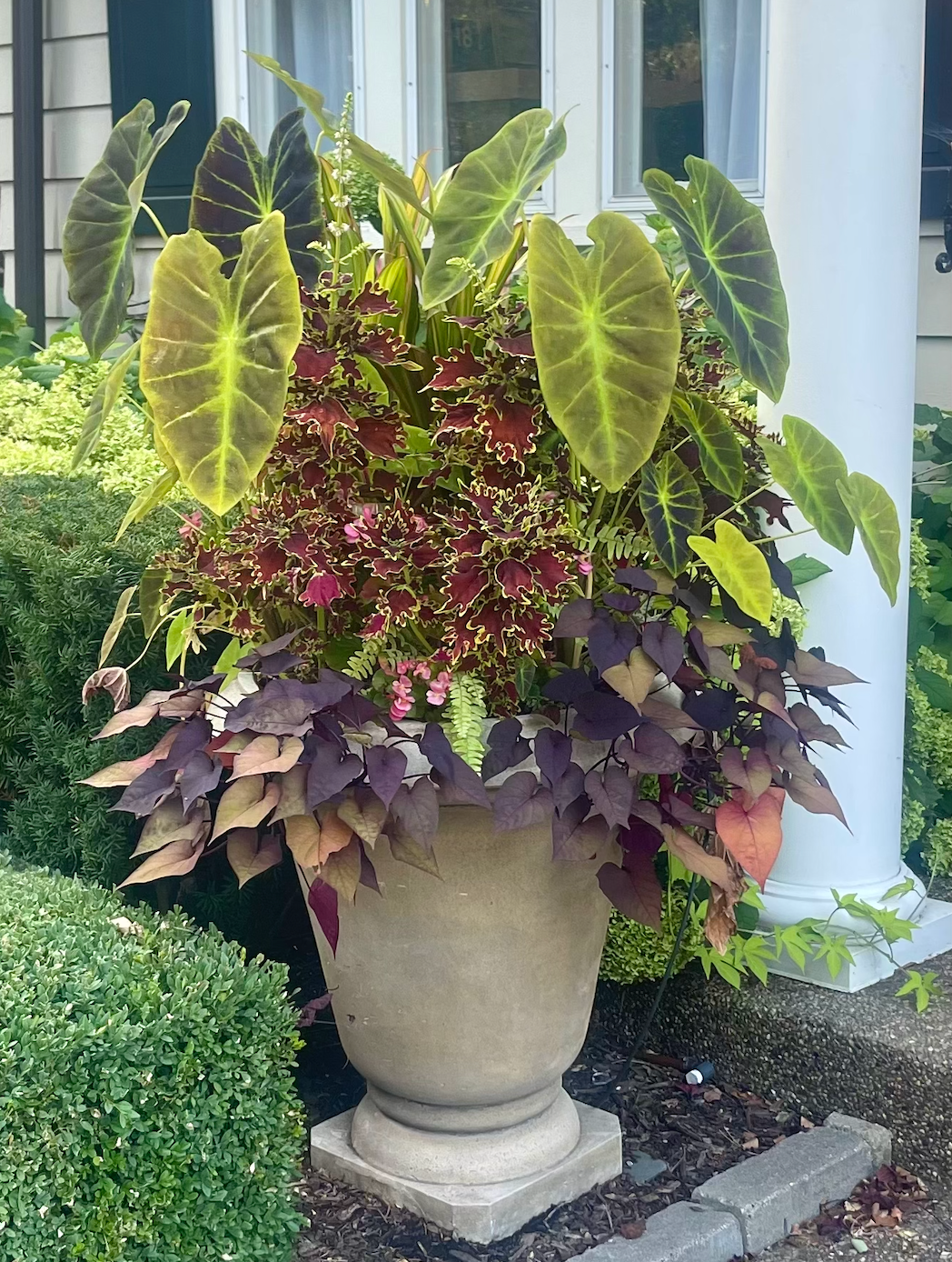 Summer Porch Pot Installation