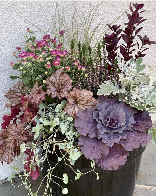 Fall Porch Pot Workshop
