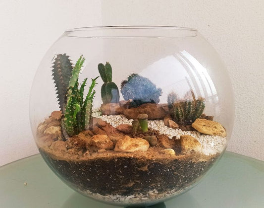 Desert Terrarium Workshop