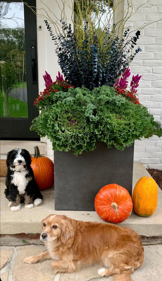 Fall Porch Pot Installation