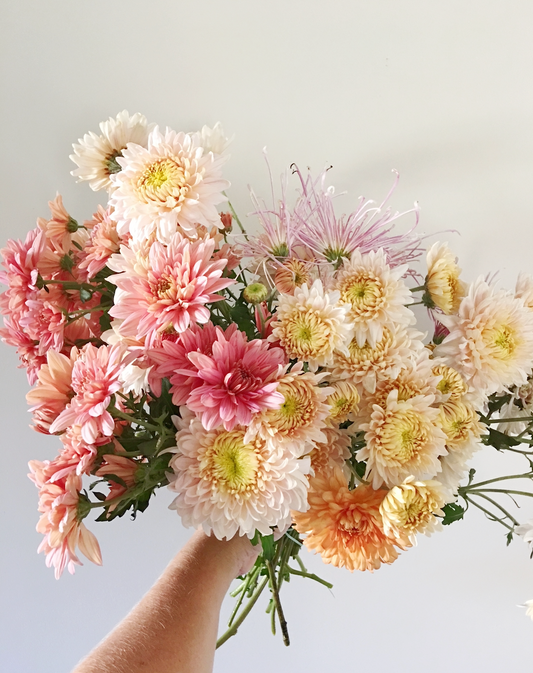 Designing with Chrysanthemums