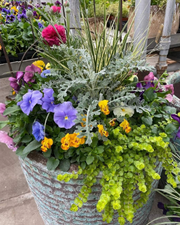 Spring Porch Pot Workshop