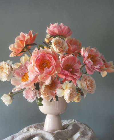 Peonies, Please! (Session 1)